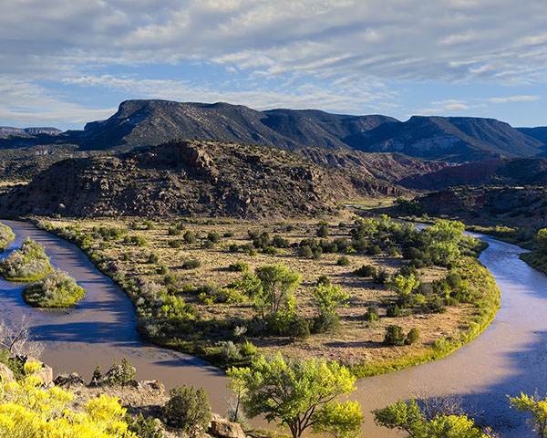 New Mexico